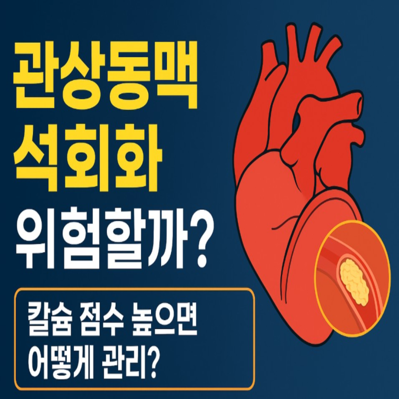 관상동맥 석회화 수치 높다고요? 꼭 알아야 할 위험 신호와 관리법
