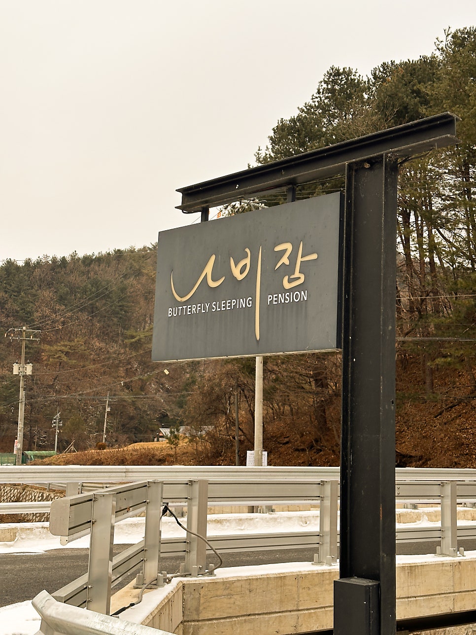 나비잠 사진 2