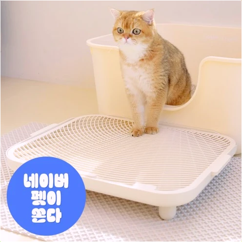  소심한호랑이 심쿵발판, 고양이 사막화 완벽 방지!
