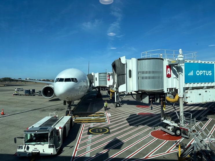  일본항공 JAL 시드니 하네다 노선 직항 이용후기