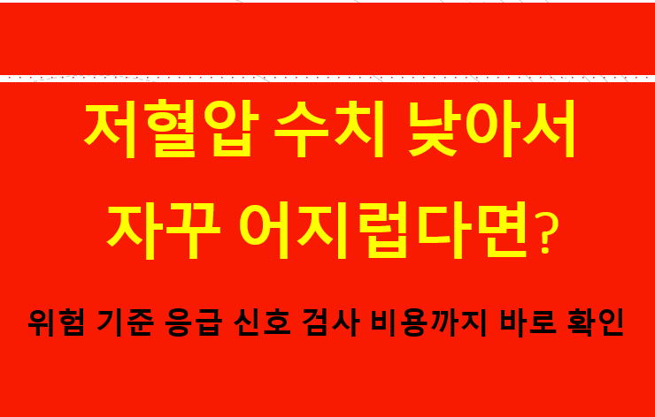 저혈압 수치 낮아서 자꾸 어지럽다면? 위험 기준·응급 신호·검사 비용까지 바로 확인
