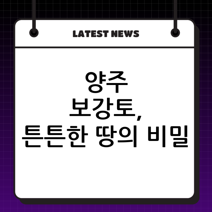  양주 보강토 전문업체 (주)두정건설: 튼튼한 땅의 비밀을 만나다!