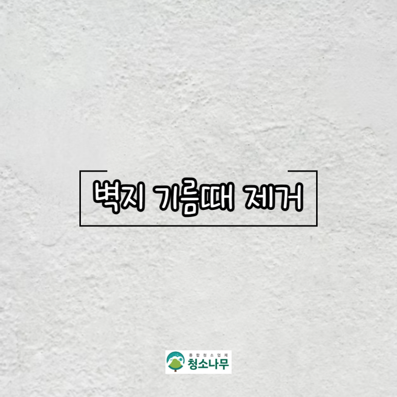 벽지 기름때 제거 꿀팁!
