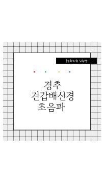  경추 견갑배신경 초음파