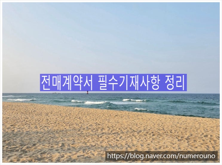  전매계약서 필수기재사항 정리, 지산왕