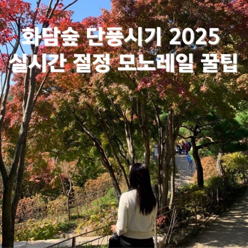화담숲 단풍시기 2025 실시간 절정 모노레일 꿀팁까지