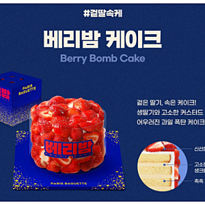 파리바게뜨 예약 가능한 크리스마스 케이크 9가지 & 예약 방법 &  베리밤 케이크 실물