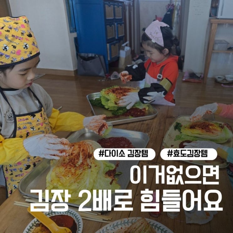  "엄마 감동시키는 다이소 '김장 효도템' BEST 3 (feat. 올해 김장 끝!)"