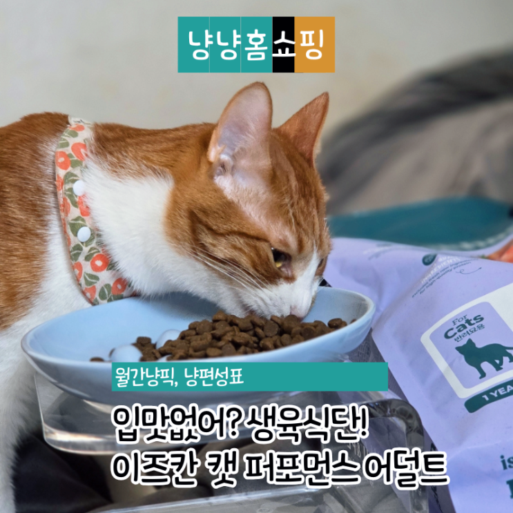  이즈칸 퍼포먼스 어덜트 생육! 입맛 없는 겨울 맛있는 다묘사료