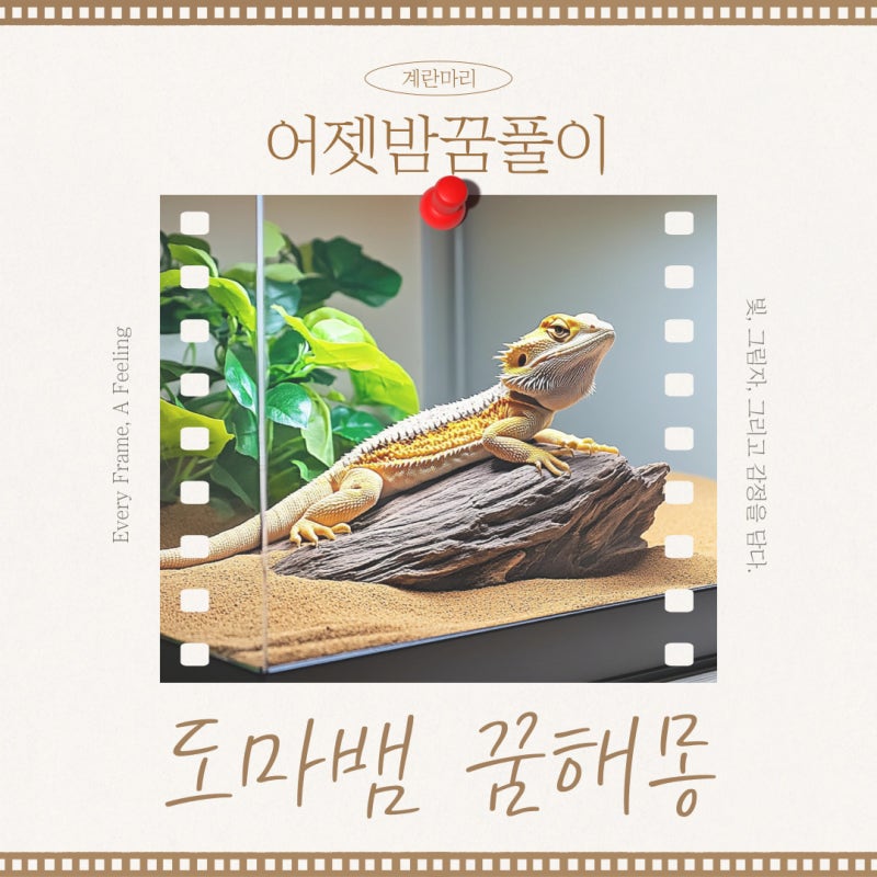 도마뱀 꿈 해몽, 어떤 숨은 의미가?