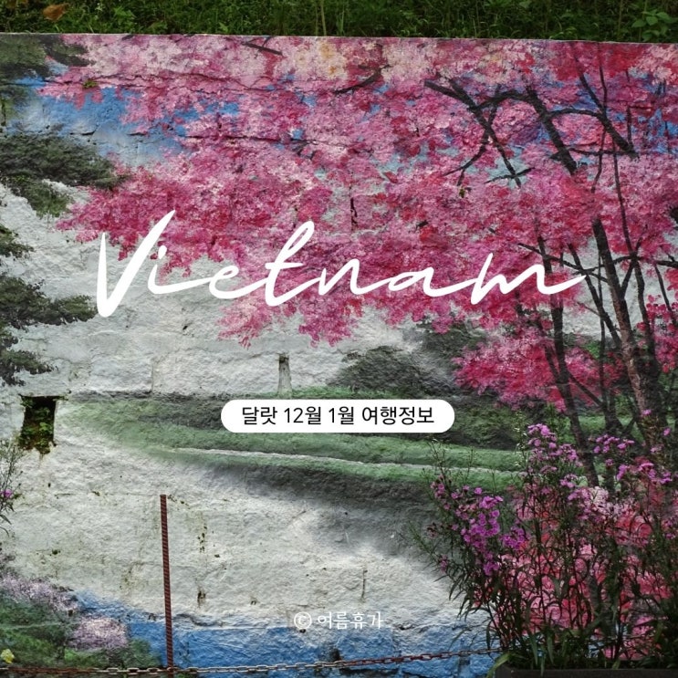  나트랑 달랏 가는법 풍짱 버스 예약 12월 1월 날씨 여행적기 준비물 치안