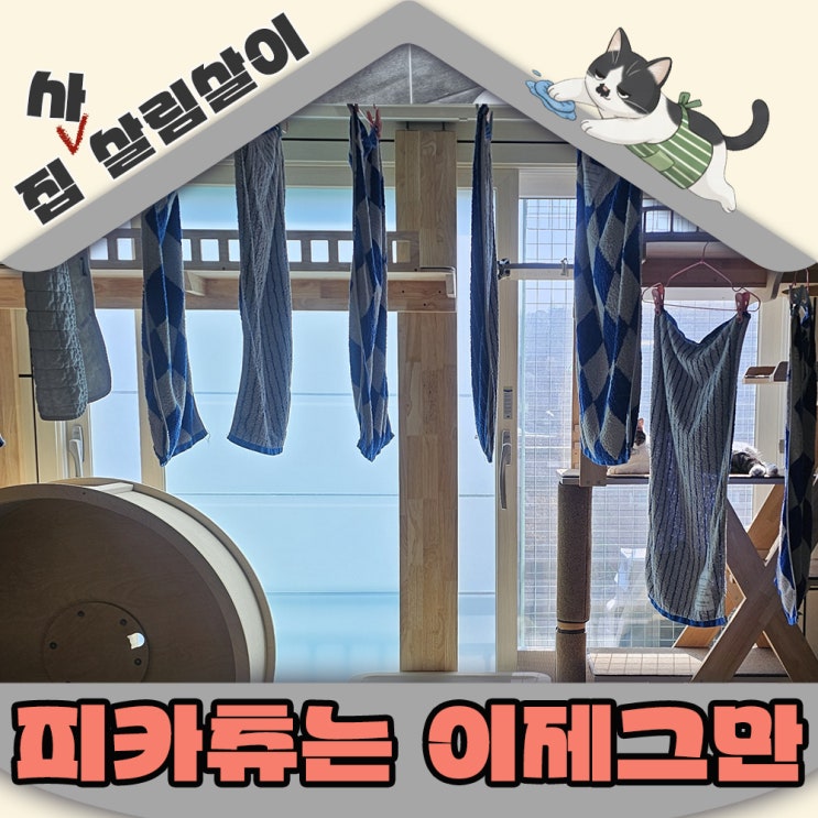  겨울만 되면 피카츄가 되어버리는 고양이집 정전기 케어방법