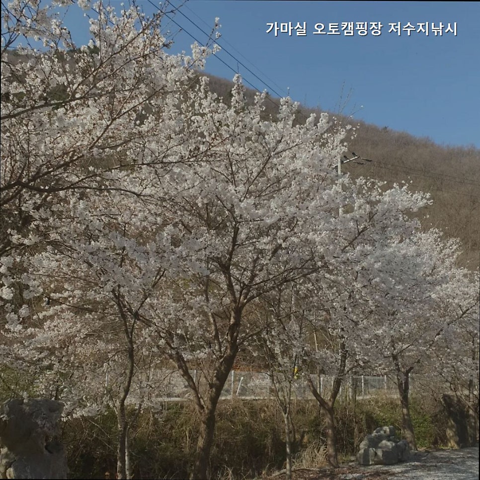 가마실오토캠핑장 사진 3