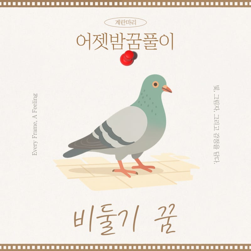 비둘기 꿈 해몽, 행운과 사랑 그리고 성공!
