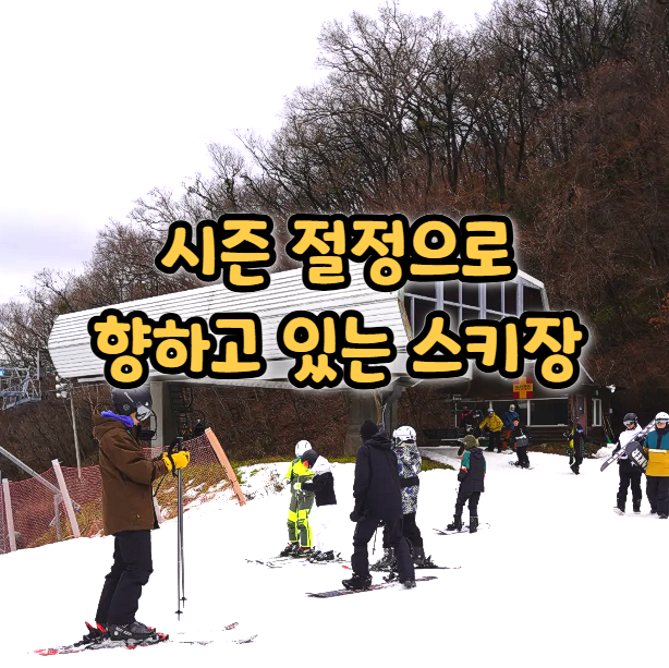 무주스키장 오픈! 알파인 렌탈샵 추천 후기