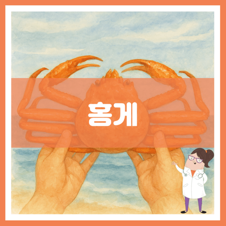  홍게 효능 부작용 고르는 방법