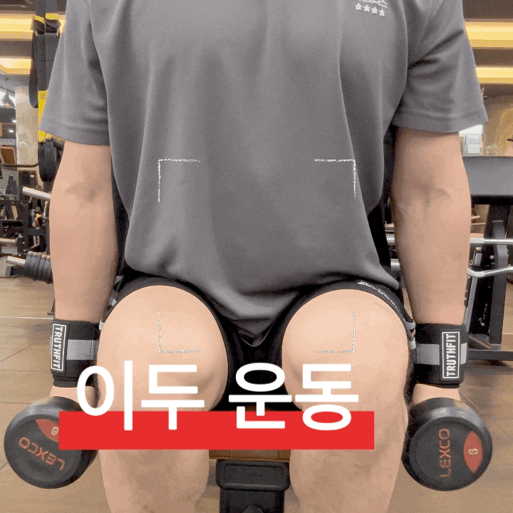  이두근 운동 추천 해머컬 포인트 및 자세