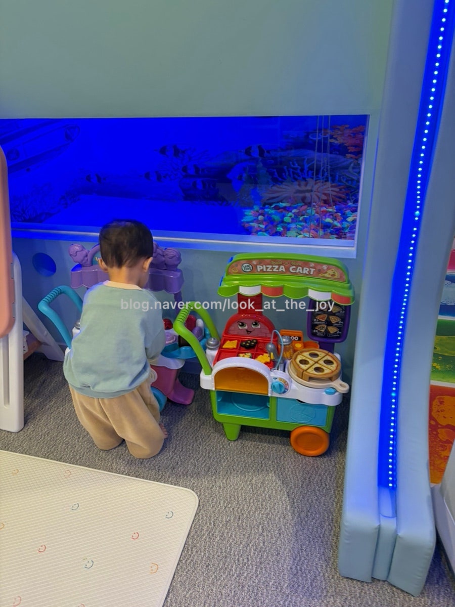 하이플라이 사진 3