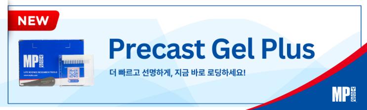  [신제품]Precast Gel Plus - 단백질 전기 영동, 더 빠르고 더 선명하게!