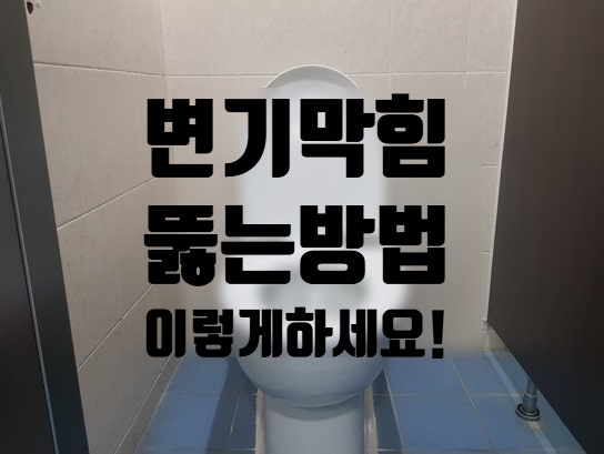  화장실 변기 막혔을때 이렇게 하면 무조건 뚫립니다