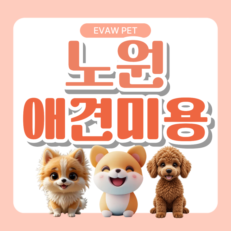  노원애견미용학원ㅣ폐업을 줄이는 실견 경험의 이유