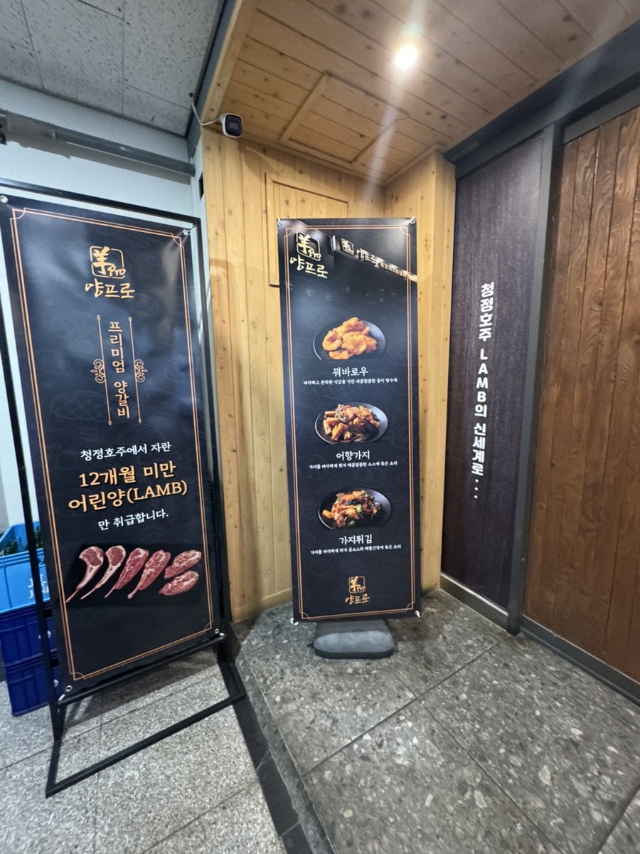 양프로 사진 1