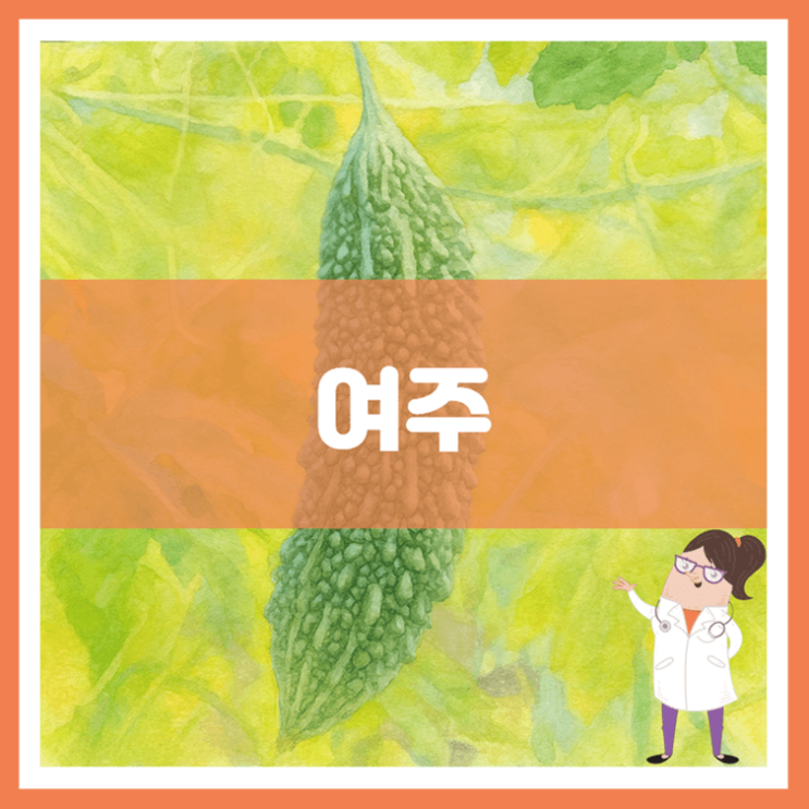  여주 효능 영양성분 부작용