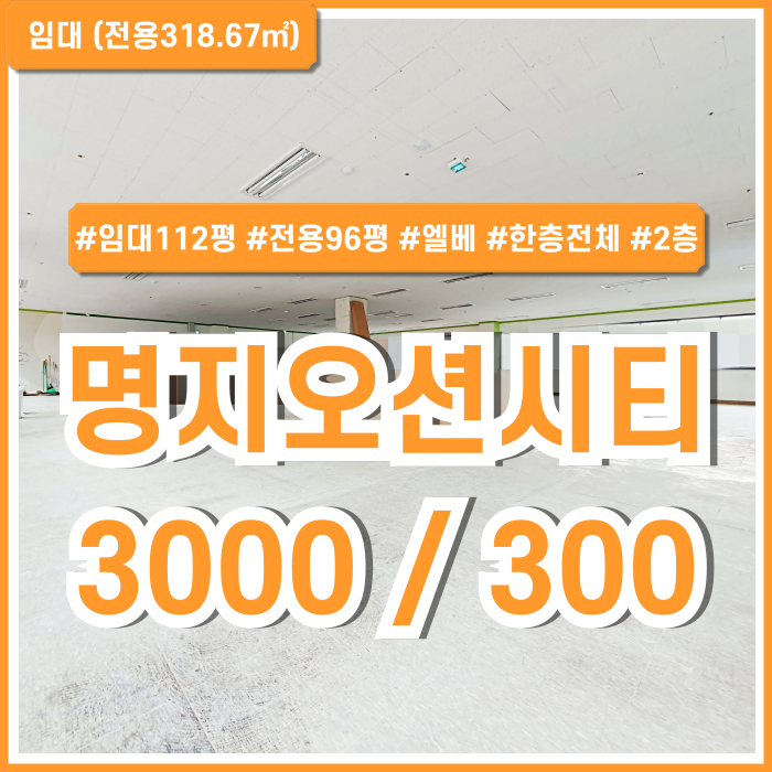  [임대] 부산시 강서구 명지동상가 한층전체를 단독으로 사용하는 명지오션시티100평대상가 아동발달센터추천 2층 엘베 전용화장실