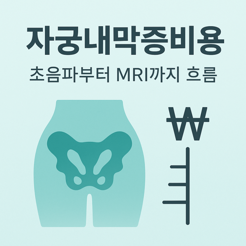 자궁내막증 검사 비용 한눈에: 초음파·혈액검사·MRI까지 단계별 안내