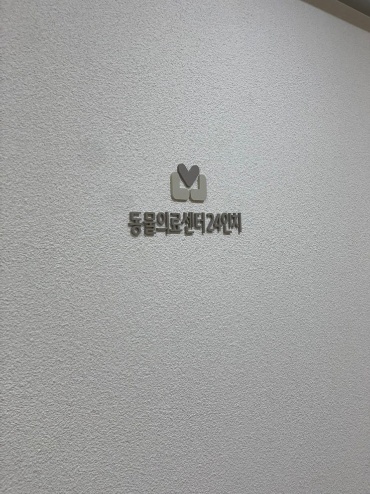  몽이의 견주일기] #3 영등포동물병원 동물의료센터24인치 X-ray & 초음파 검진 후기