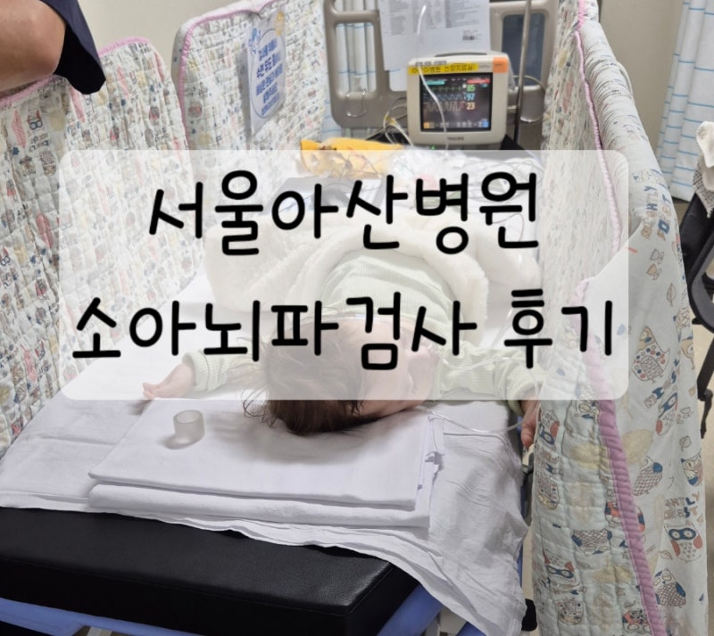 서울아산병원 소아 뇌파검사 예약 검사 비용 후기