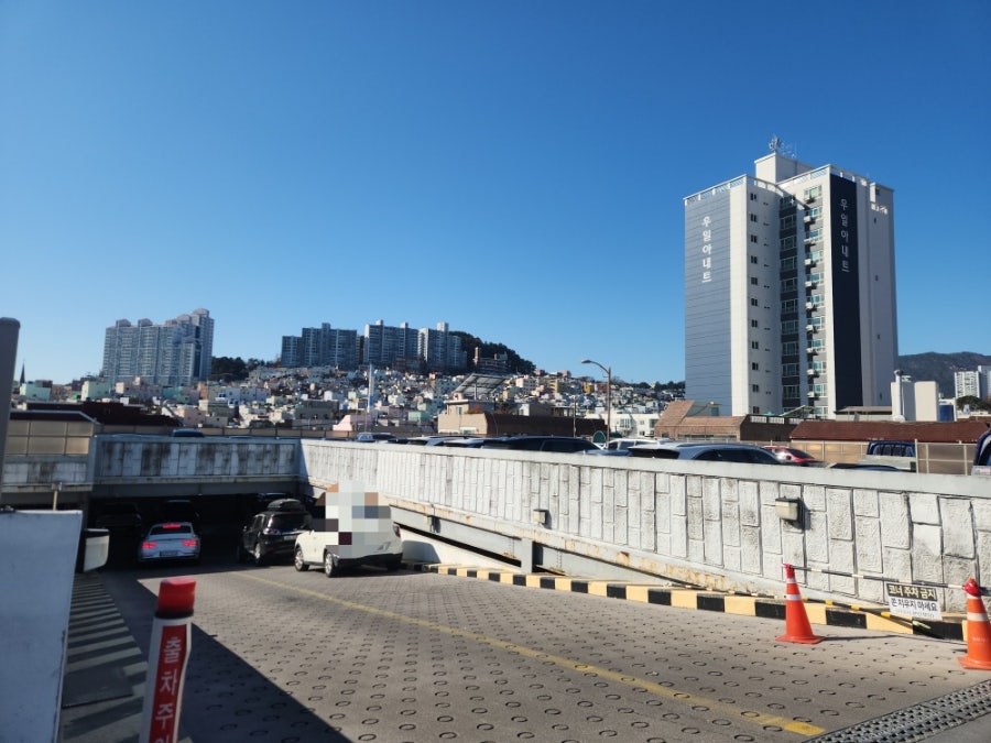 하이밀 사진