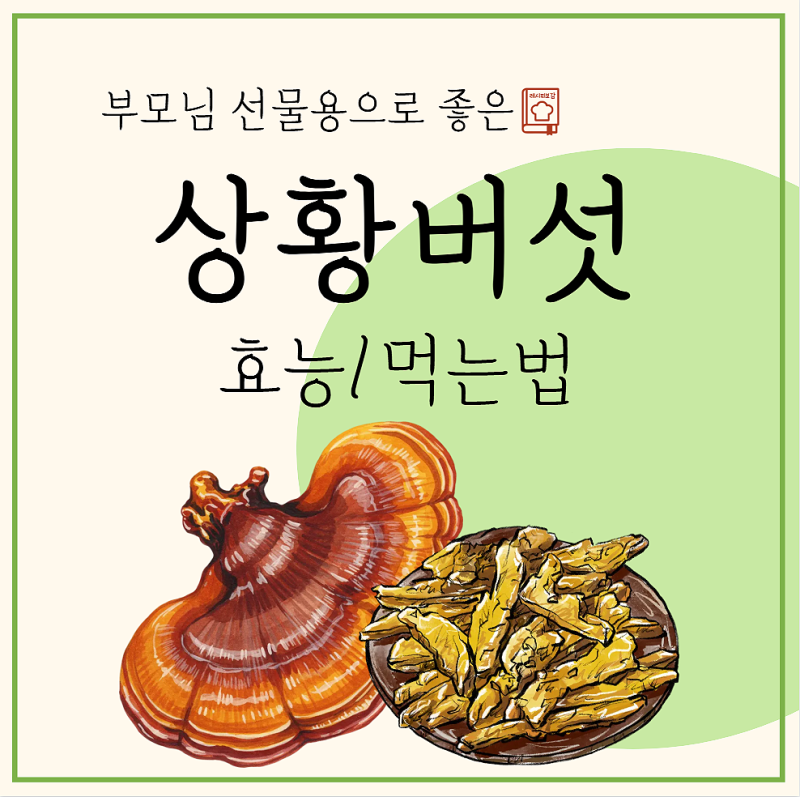 상황버섯 효능 먹는방법 + 상황버섯쌀 특징