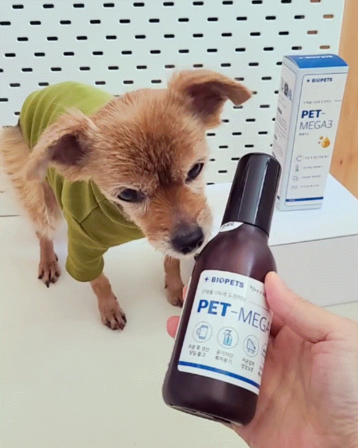  고양이 강아지 오메가3 영양제 추천, 반려동물 신부전 펫케어
