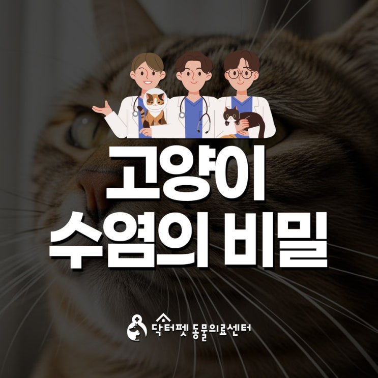  자르면 안돼요 고양이 수염의 비밀