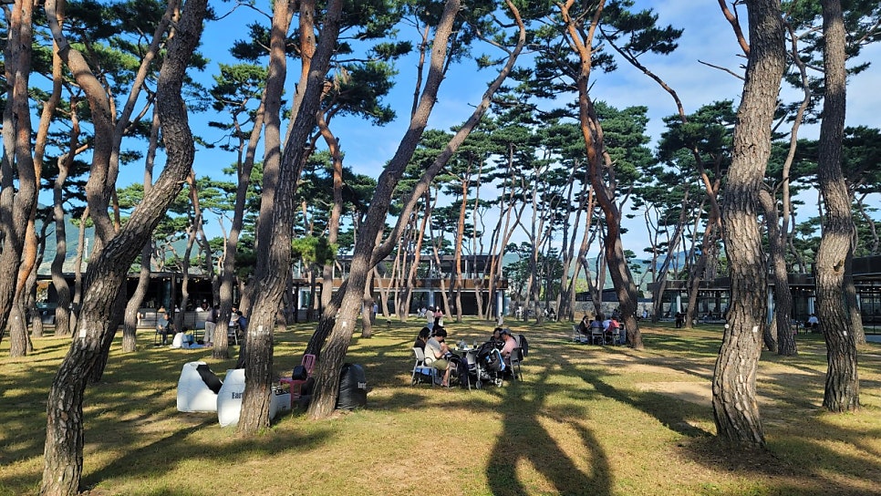 대추나무막국수 사진 4