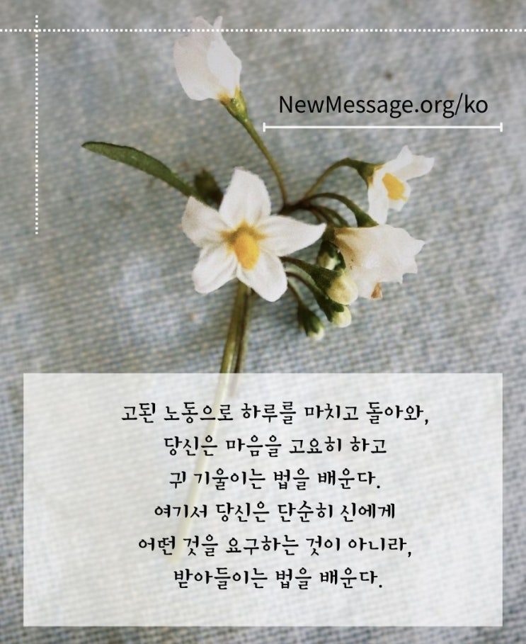  내적 삶을 가꾸다 | 시간, 인내, 매일 적용이 필요