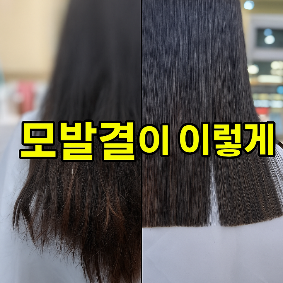 쉬크헤어 사진 1
