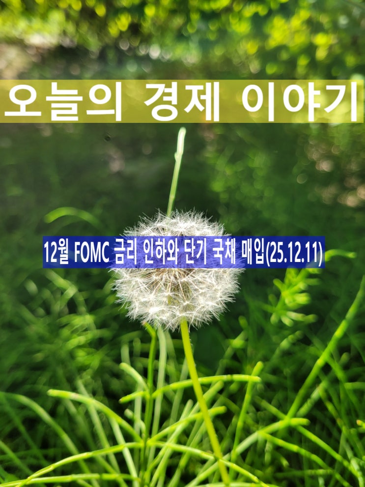  오늘의 경제 이야기, 지산왕(2025년 12월 11일 )