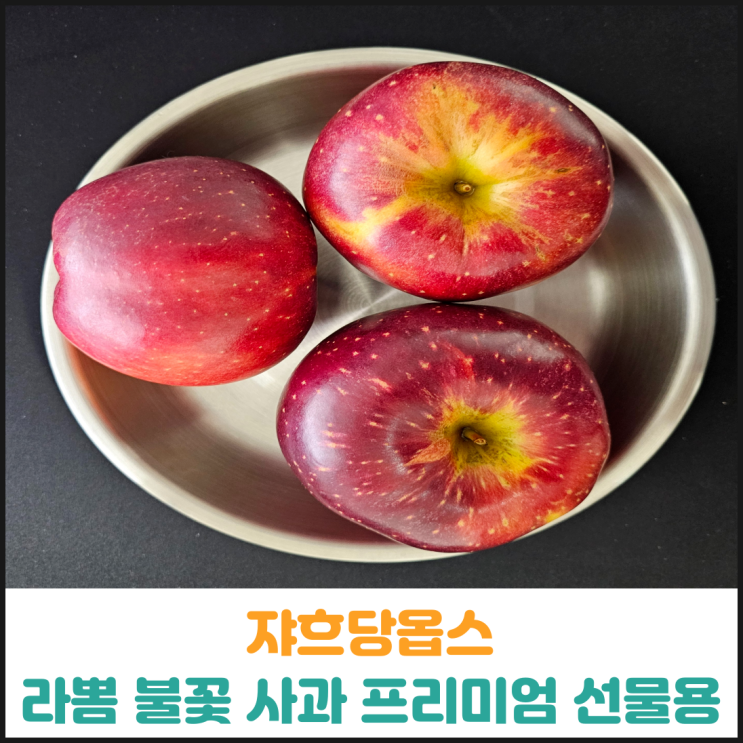  쟈흐당옵스 라뽐 불꽃 사과 프리미엄 선물용 12과 후기