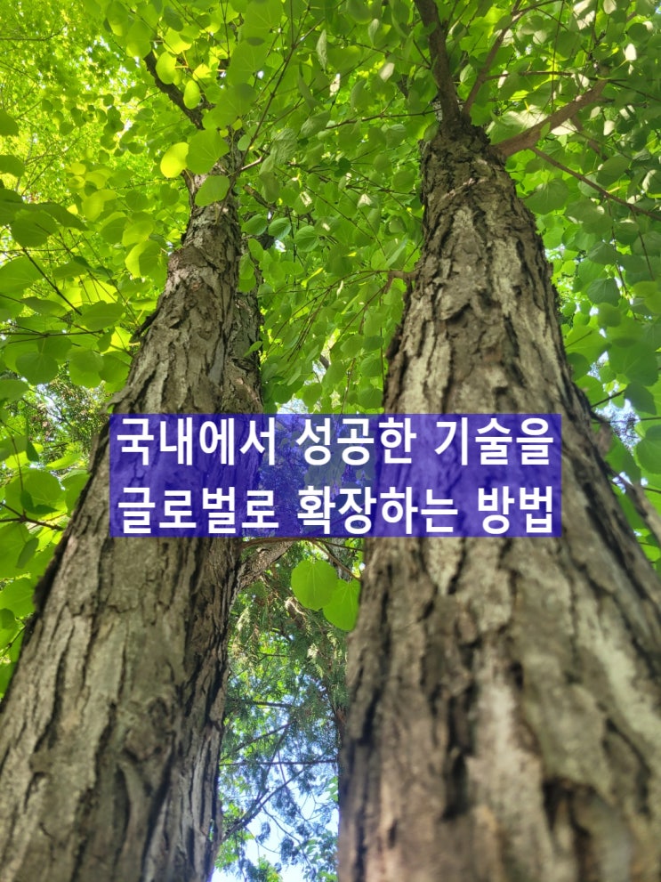  국내에서 성공한 기술을 글로벌로 확장하는 방법, 중소기업전략기술로드맵