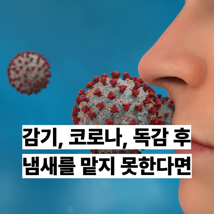  감기,코로나가 끝났는데 후각,냄새가 돌아오지 않으신다면