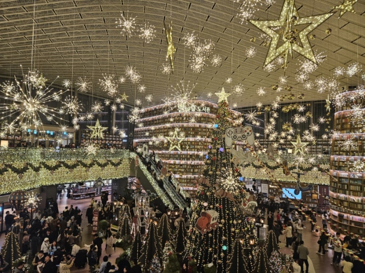  코엑스 연말 핫플 정복! 크리스마스 + 해리포터 팝업 방문기