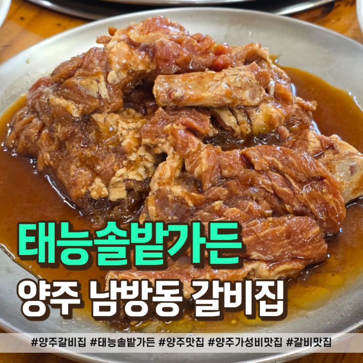  양주 갈비집 태능솔밭가든 주말 방문기