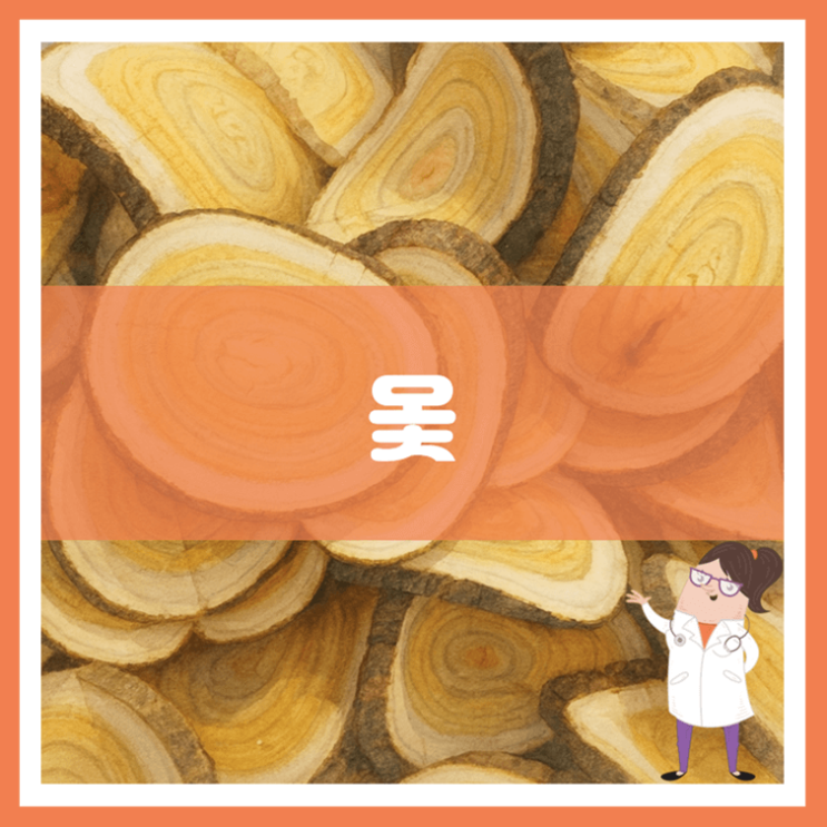  옻 효능 부작용 먹는 방법