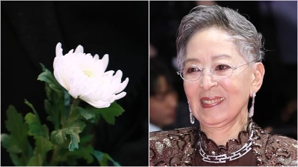  김지미 별세! 한국의 엘리자베스 테일러 생애와 마지막 이야기