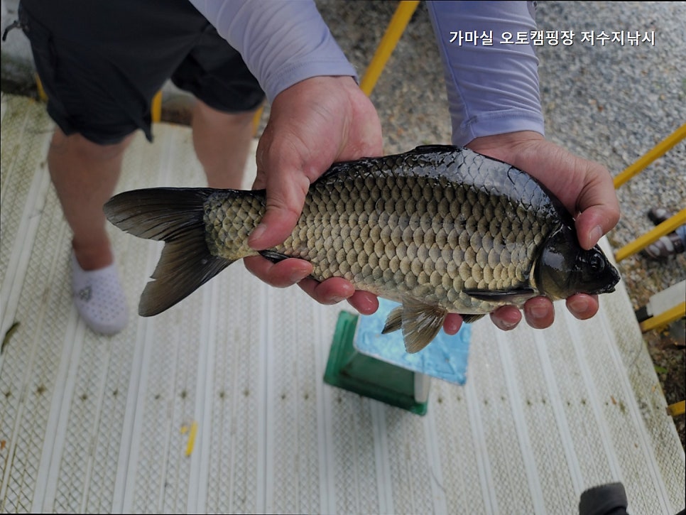 가마실오토캠핑장 사진 2