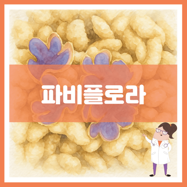  파비플로라 효능 섭취방법 부작용