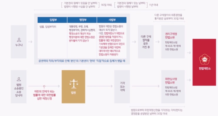  헌법소원심판 청구 방법 완벽 가이드!