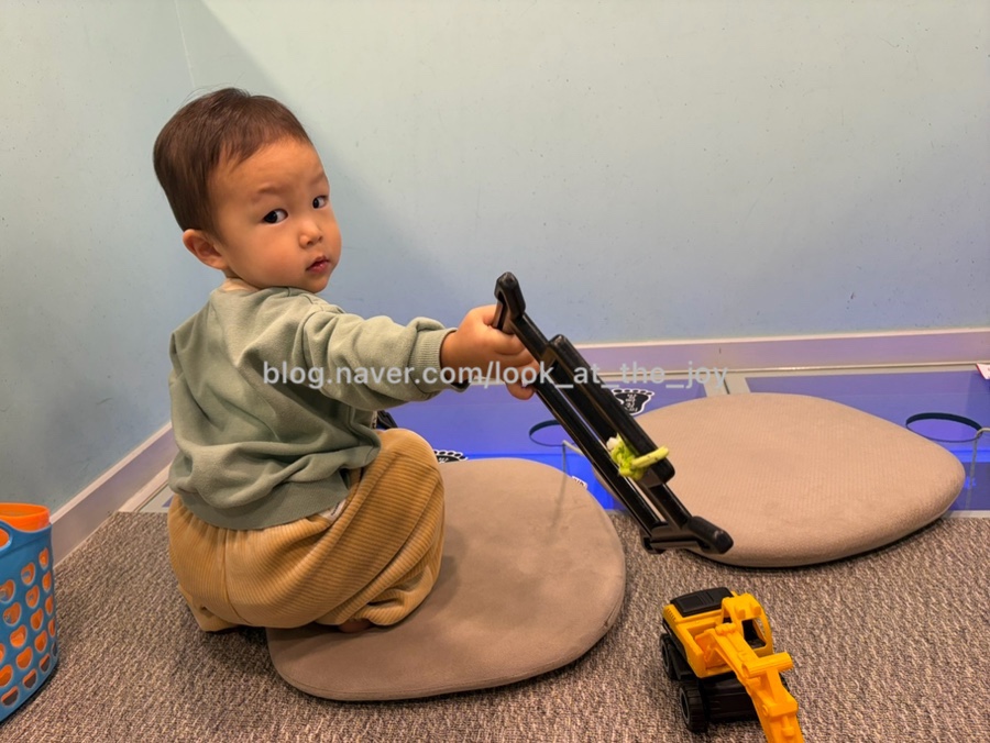 하이플라이 사진 6